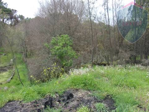 Terreno Para Construção  Venda em Silgueiros,Viseu
