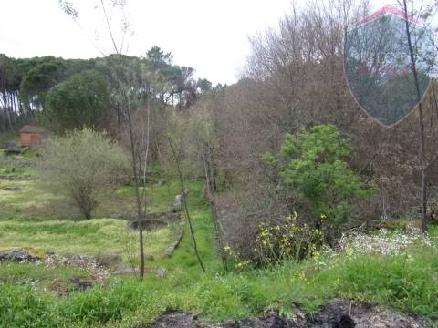 Terreno Para Construção  Venda em Silgueiros,Viseu