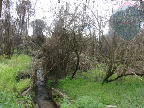 Terreno Para Construção  Venda em Silgueiros,Viseu