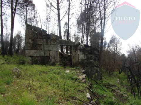 Terreno Para Construção  Venda em Silgueiros,Viseu