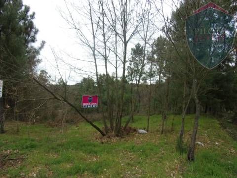 Terreno Para Construção  Venda em Silgueiros,Viseu