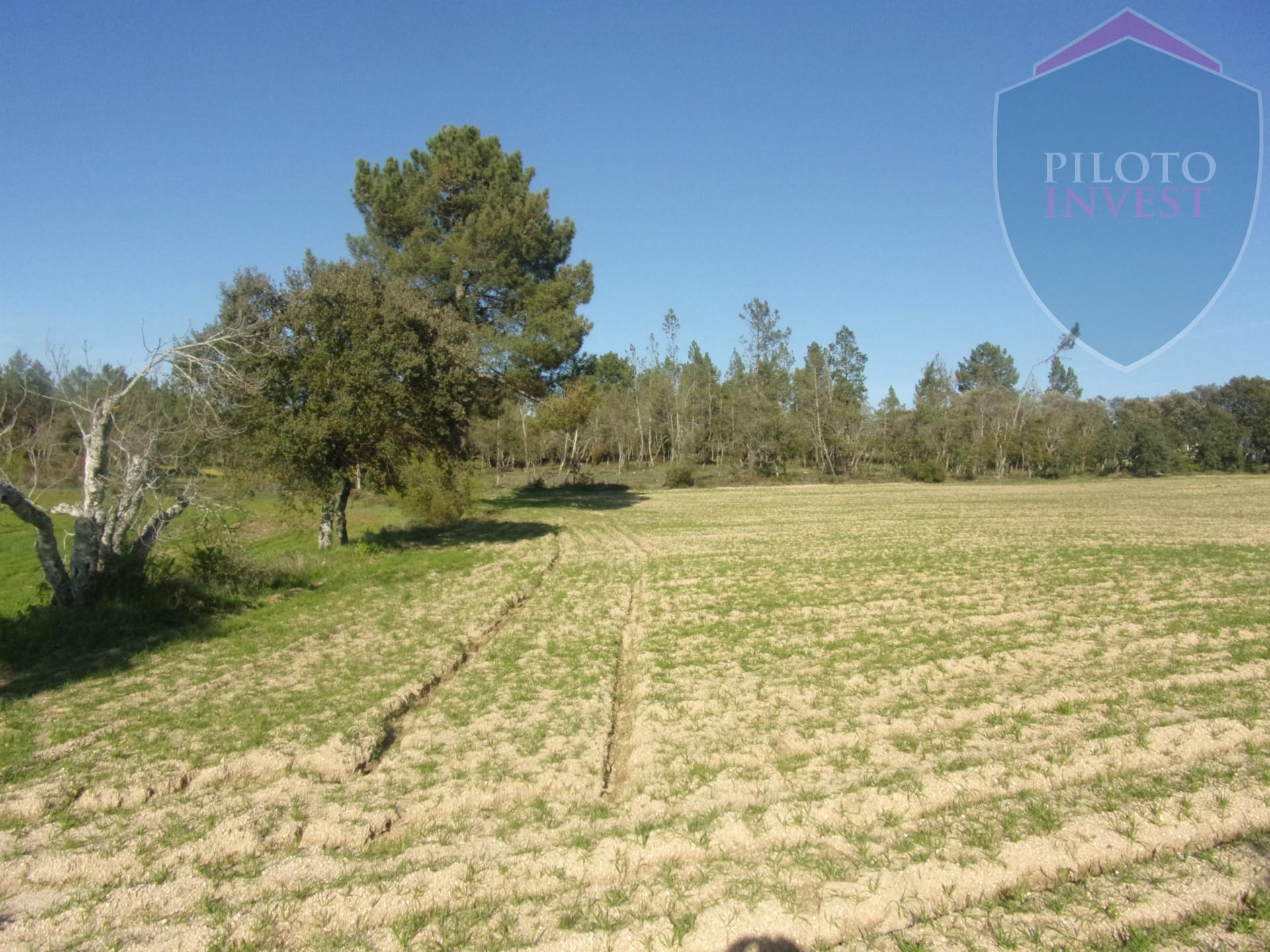 Terreno Misto  Venda em Baraçal,Celorico da Beira