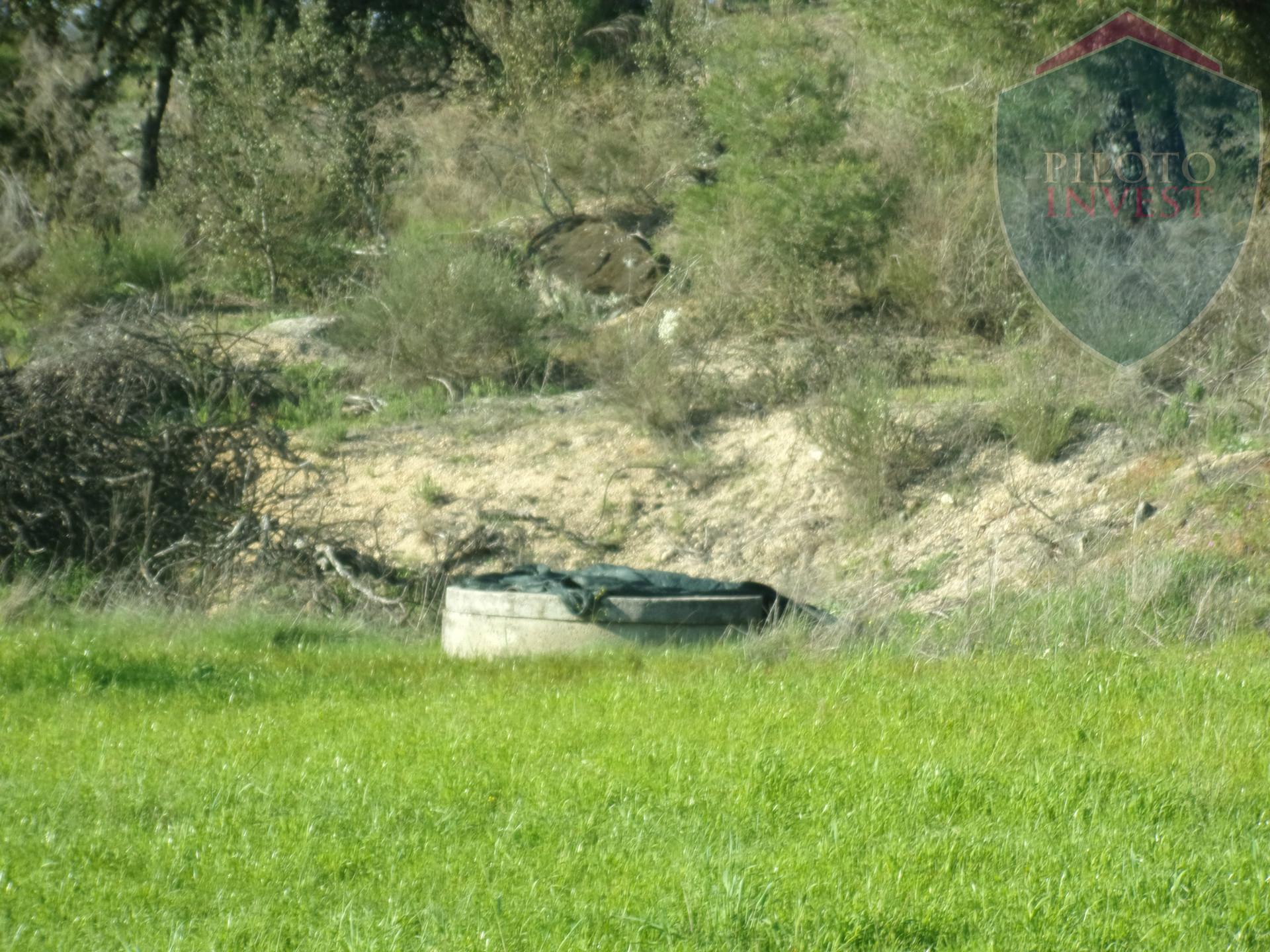 Terreno Misto  Venda em Baraçal,Celorico da Beira