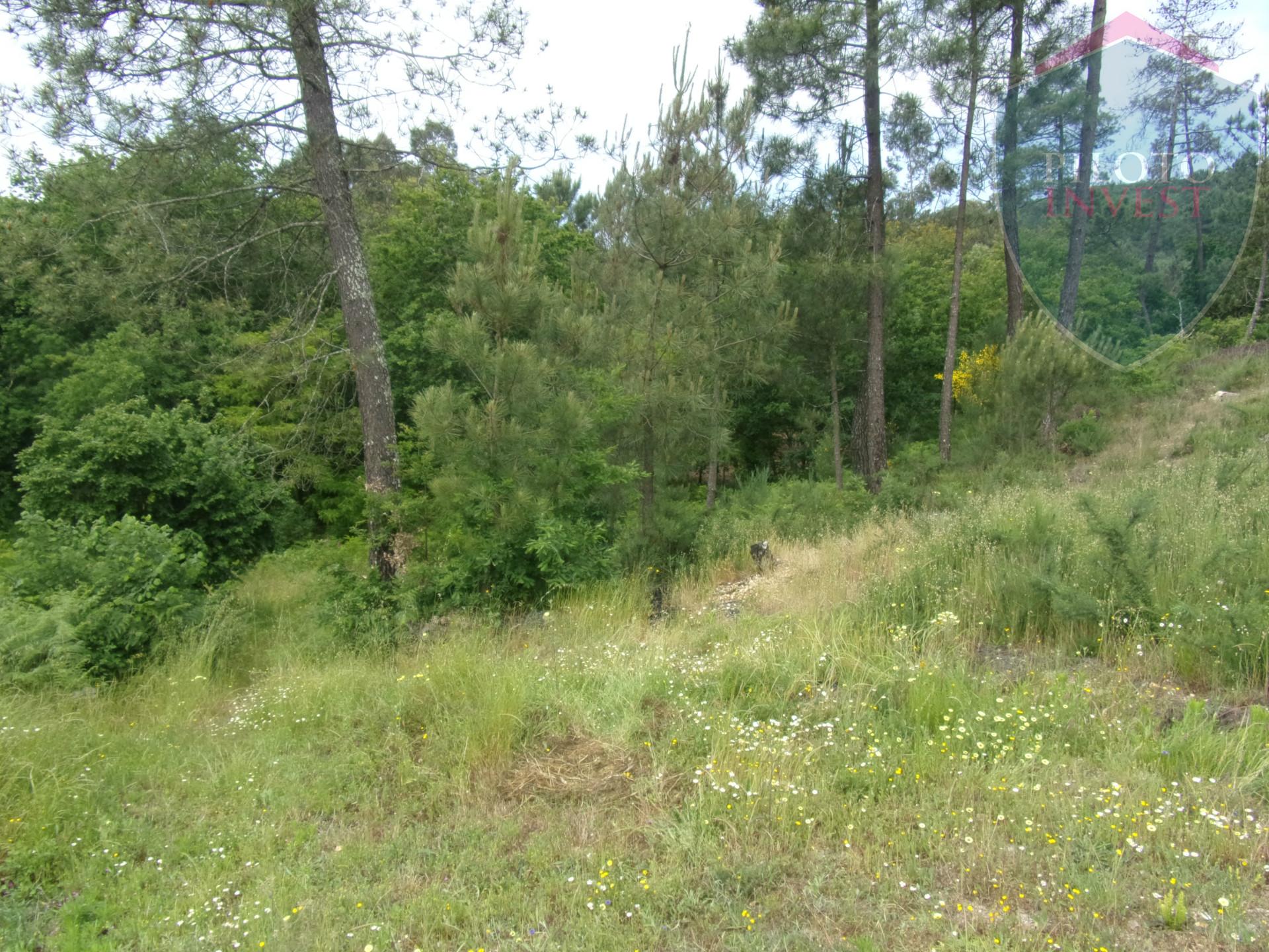 Terreno Misto  Venda em Orgens,Viseu