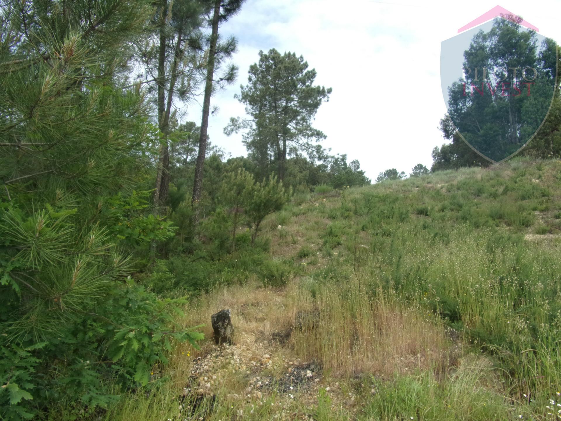 Terreno Misto  Venda em Orgens,Viseu