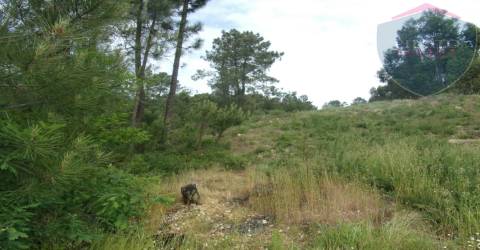 Terreno Misto  Venda em Orgens,Viseu