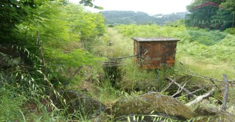 Terreno Misto  Venda em Orgens,Viseu