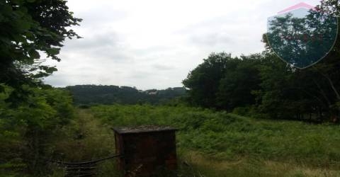 Terreno Misto  Venda em Orgens,Viseu