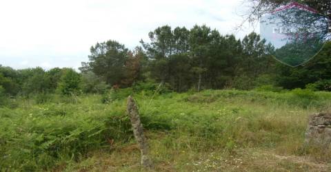 Terreno Misto  Venda em Orgens,Viseu