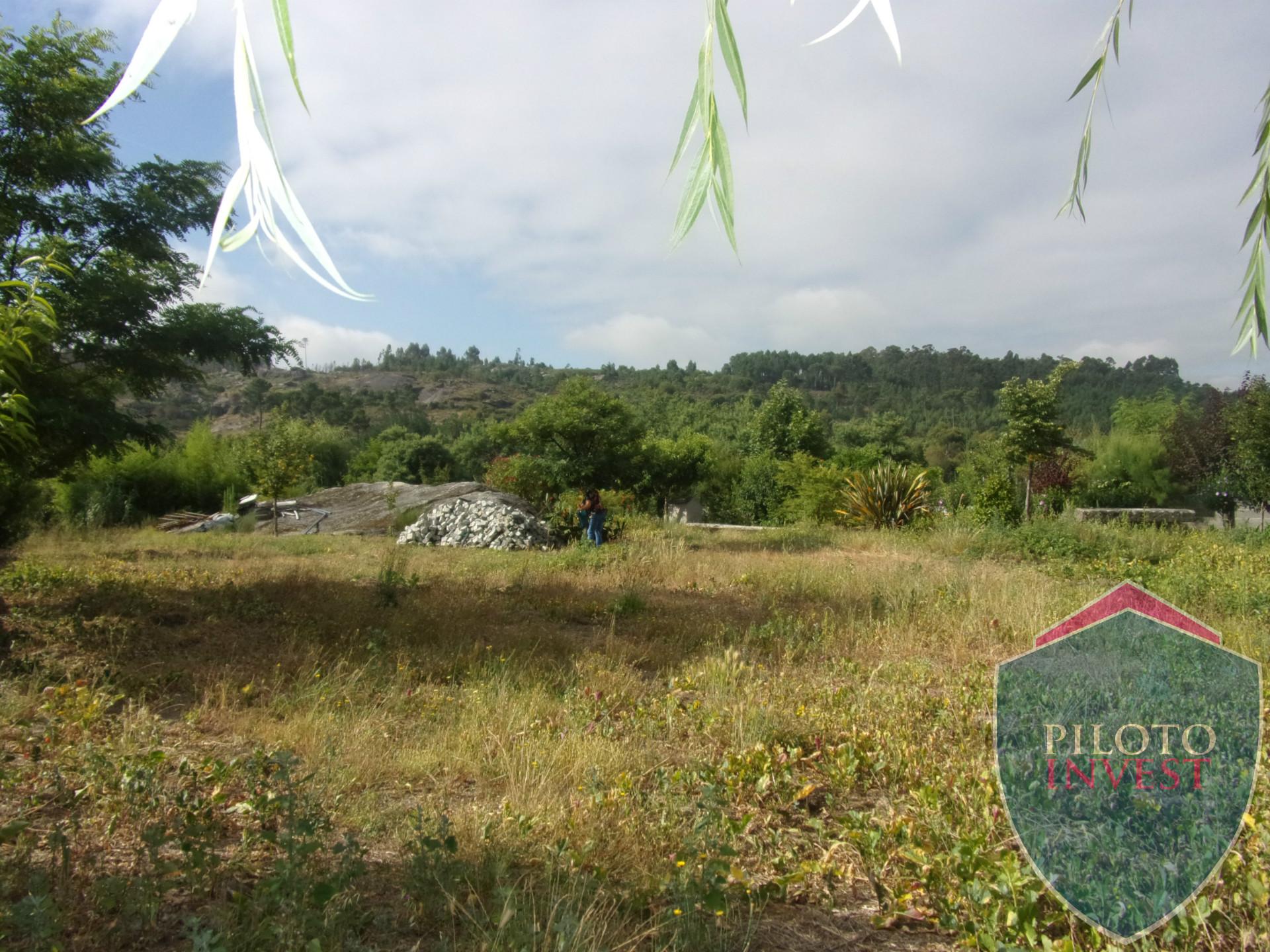 Quinta  Venda em Faíl e Vila Chã de Sá,Viseu