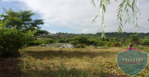 Quinta  Venda em Faíl e Vila Chã de Sá,Viseu