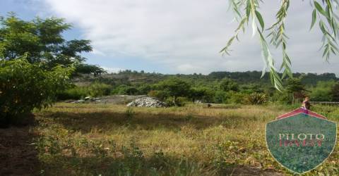 Quinta  Venda em Faíl e Vila Chã de Sá,Viseu