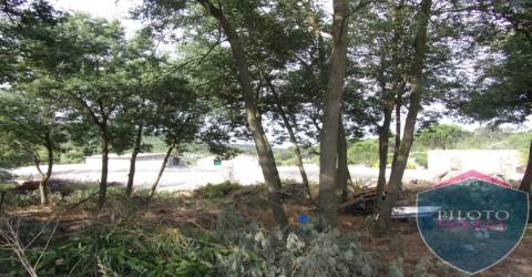 Quinta  Venda em Faíl e Vila Chã de Sá,Viseu