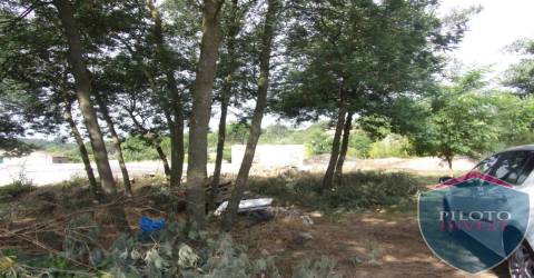 Quinta  Venda em Faíl e Vila Chã de Sá,Viseu