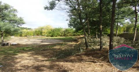 Quinta  Venda em Faíl e Vila Chã de Sá,Viseu