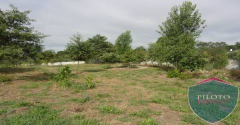 Quinta  Venda em Faíl e Vila Chã de Sá,Viseu