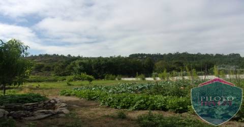 Quinta  Venda em Faíl e Vila Chã de Sá,Viseu