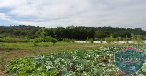 Quinta  Venda em Faíl e Vila Chã de Sá,Viseu