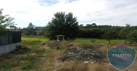 Quinta  Venda em Faíl e Vila Chã de Sá,Viseu
