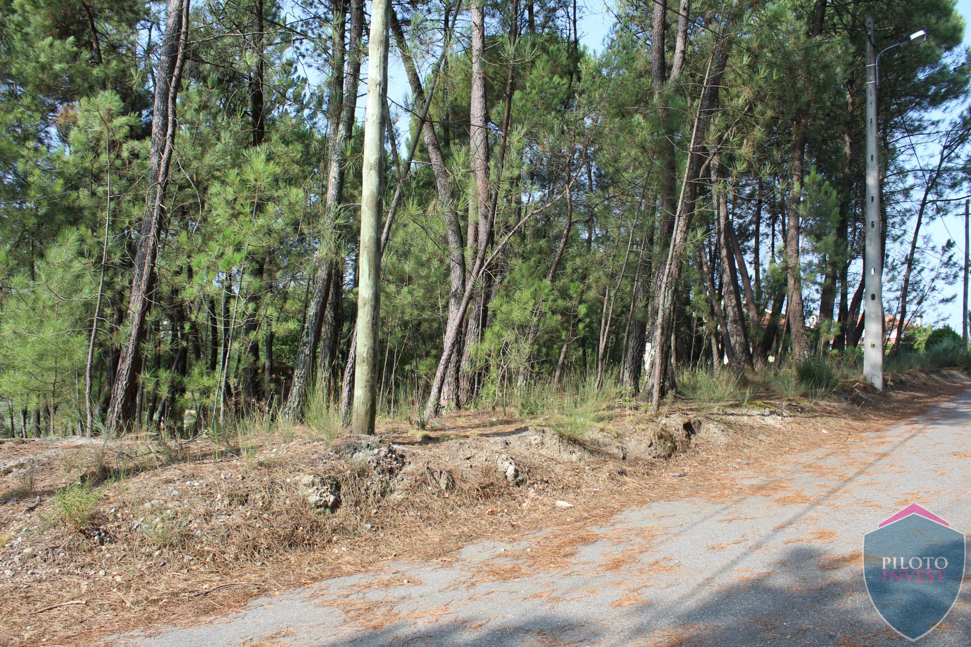 Terreno  Venda em Faíl e Vila Chã de Sá,Viseu