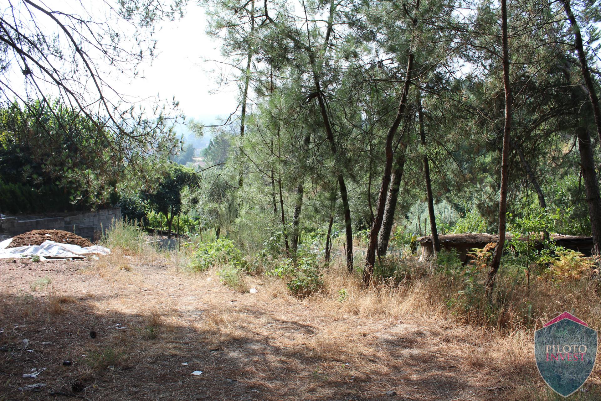 Terreno  Venda em Faíl e Vila Chã de Sá,Viseu