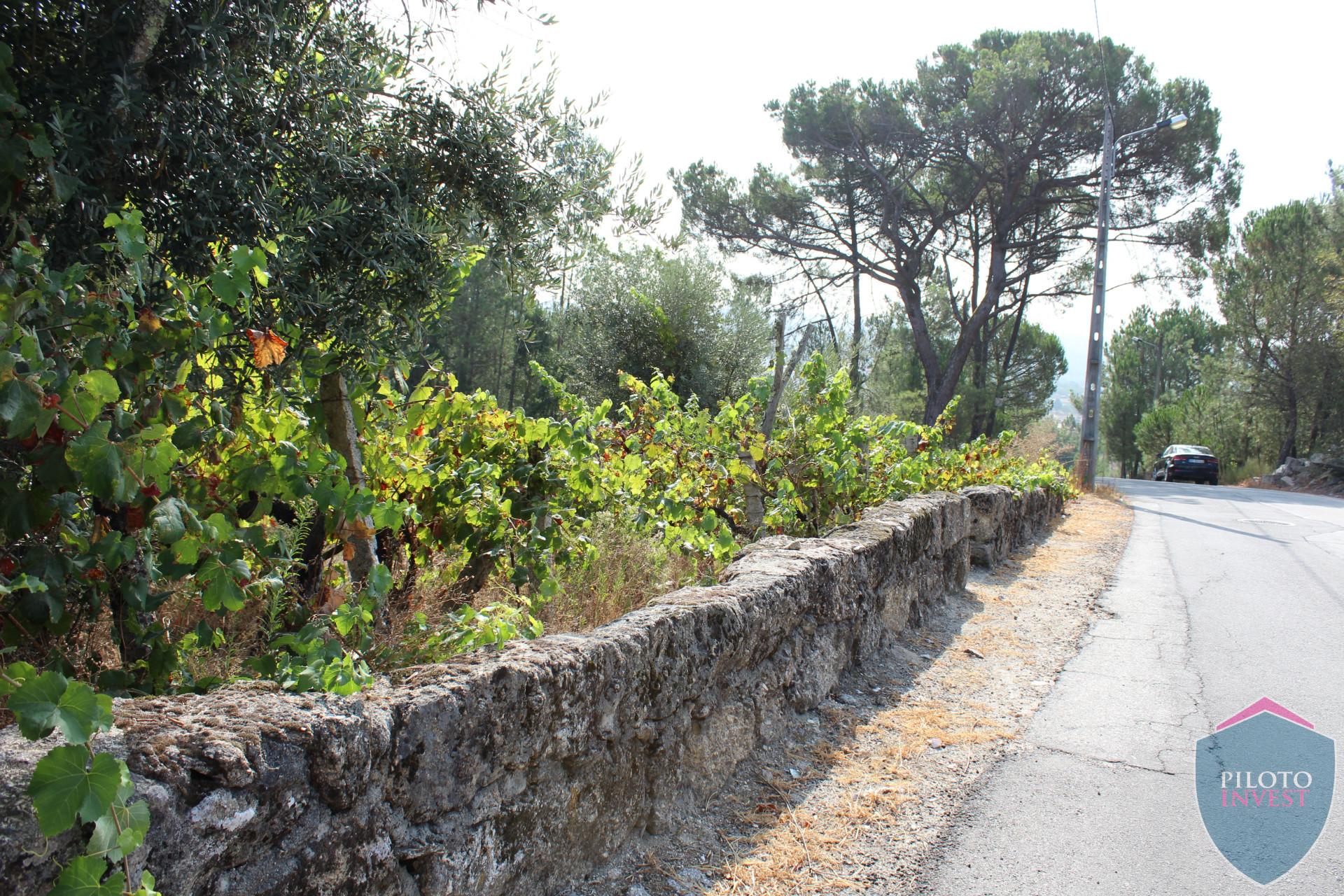 Terreno  Venda em Faíl e Vila Chã de Sá,Viseu