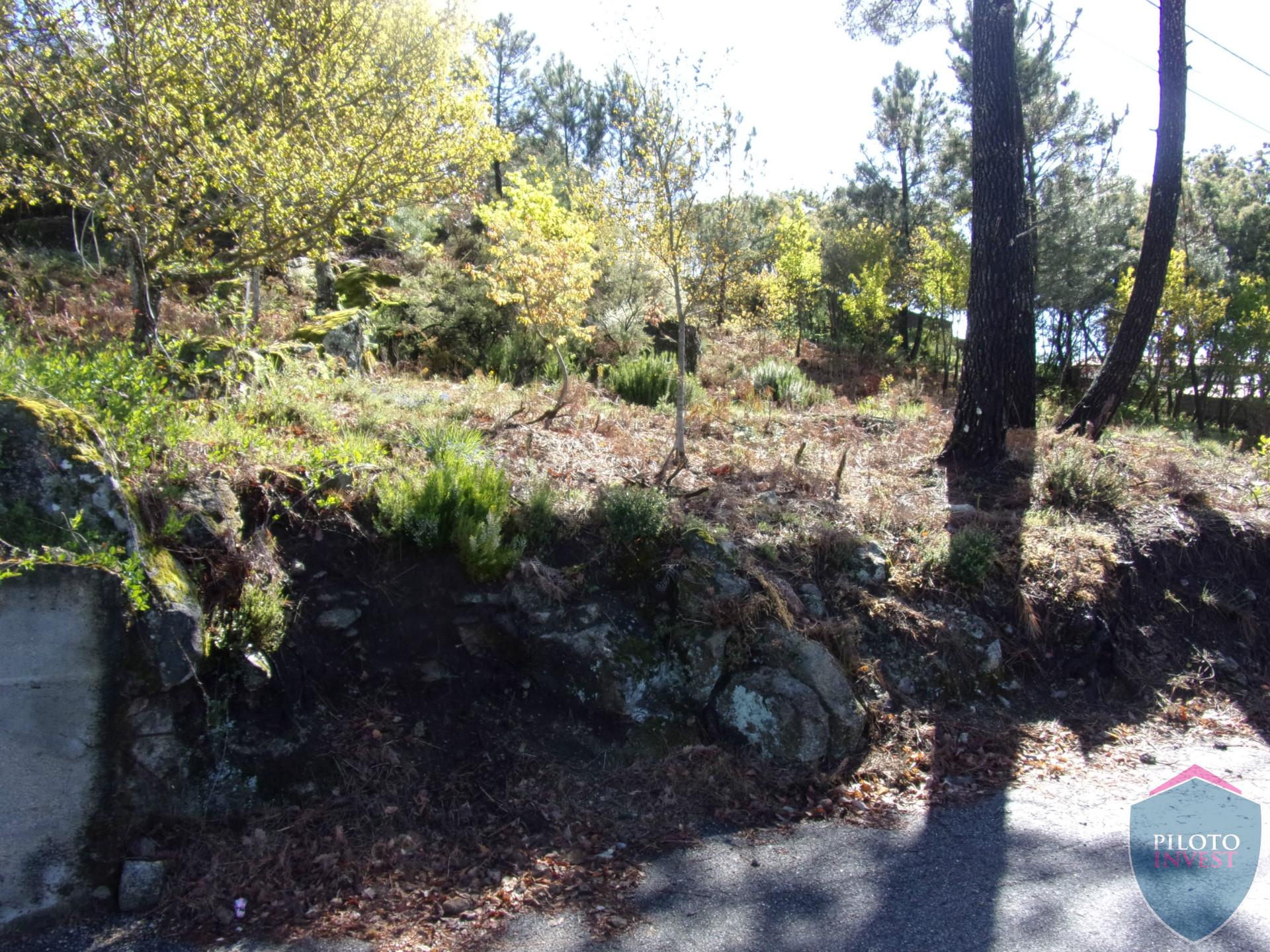 Lote de Terreno  Venda em Bodiosa,Viseu