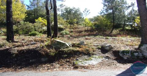Lote de Terreno  Venda em Bodiosa,Viseu