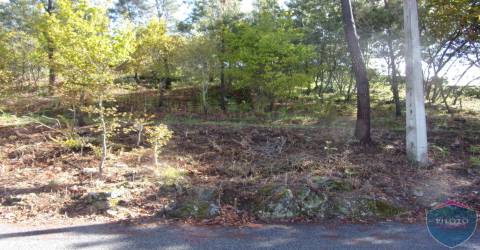 Lote de Terreno  Venda em Bodiosa,Viseu