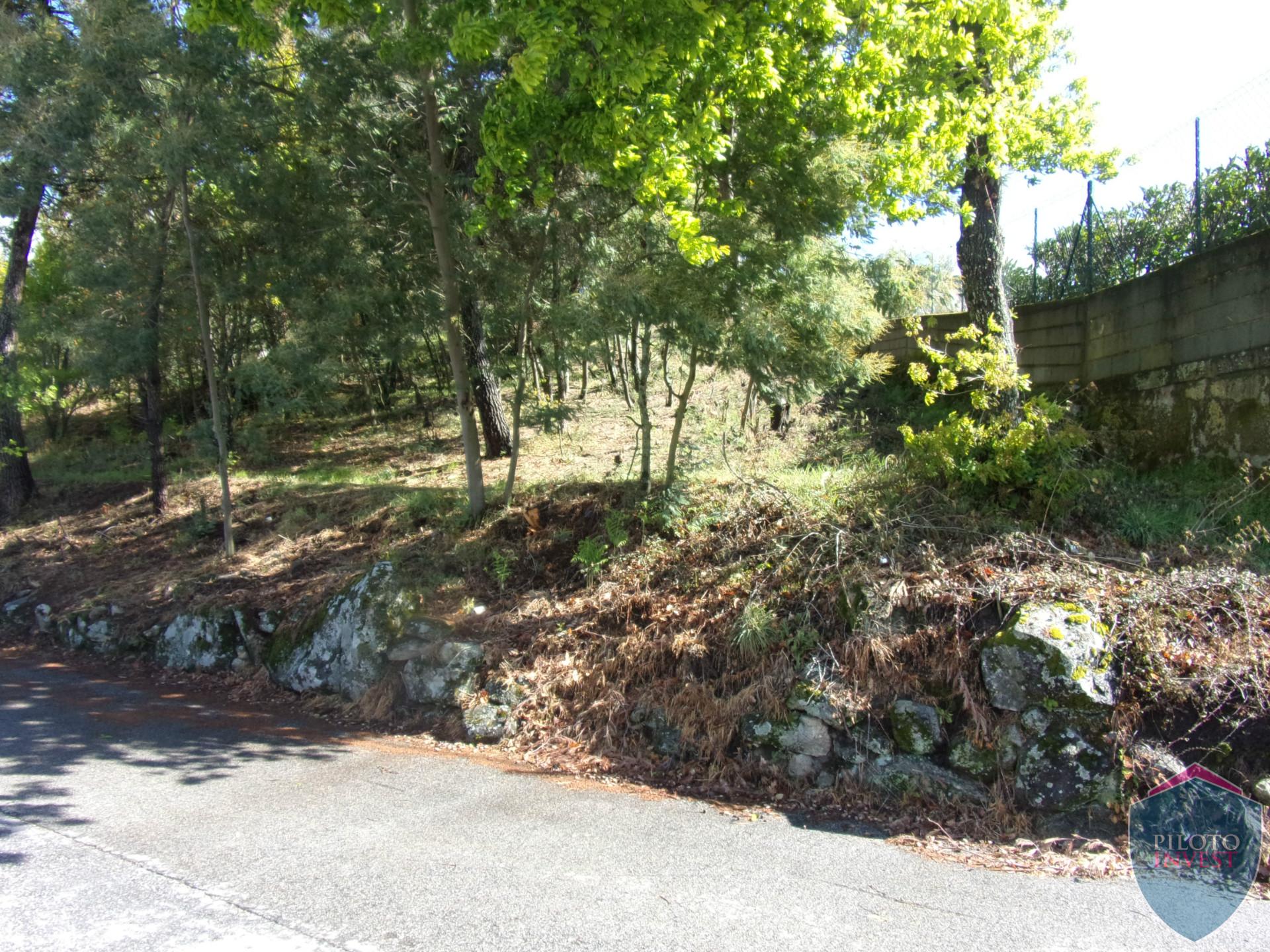 Lote de Terreno  Venda em Bodiosa,Viseu