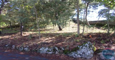 Lote de Terreno  Venda em Bodiosa,Viseu