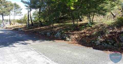 Lote de Terreno  Venda em Bodiosa,Viseu