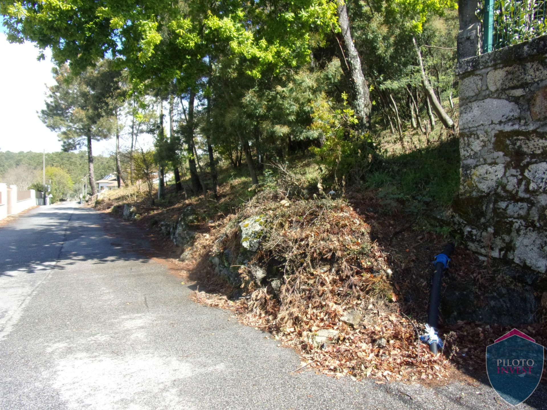 Lote de Terreno  Venda em Bodiosa,Viseu