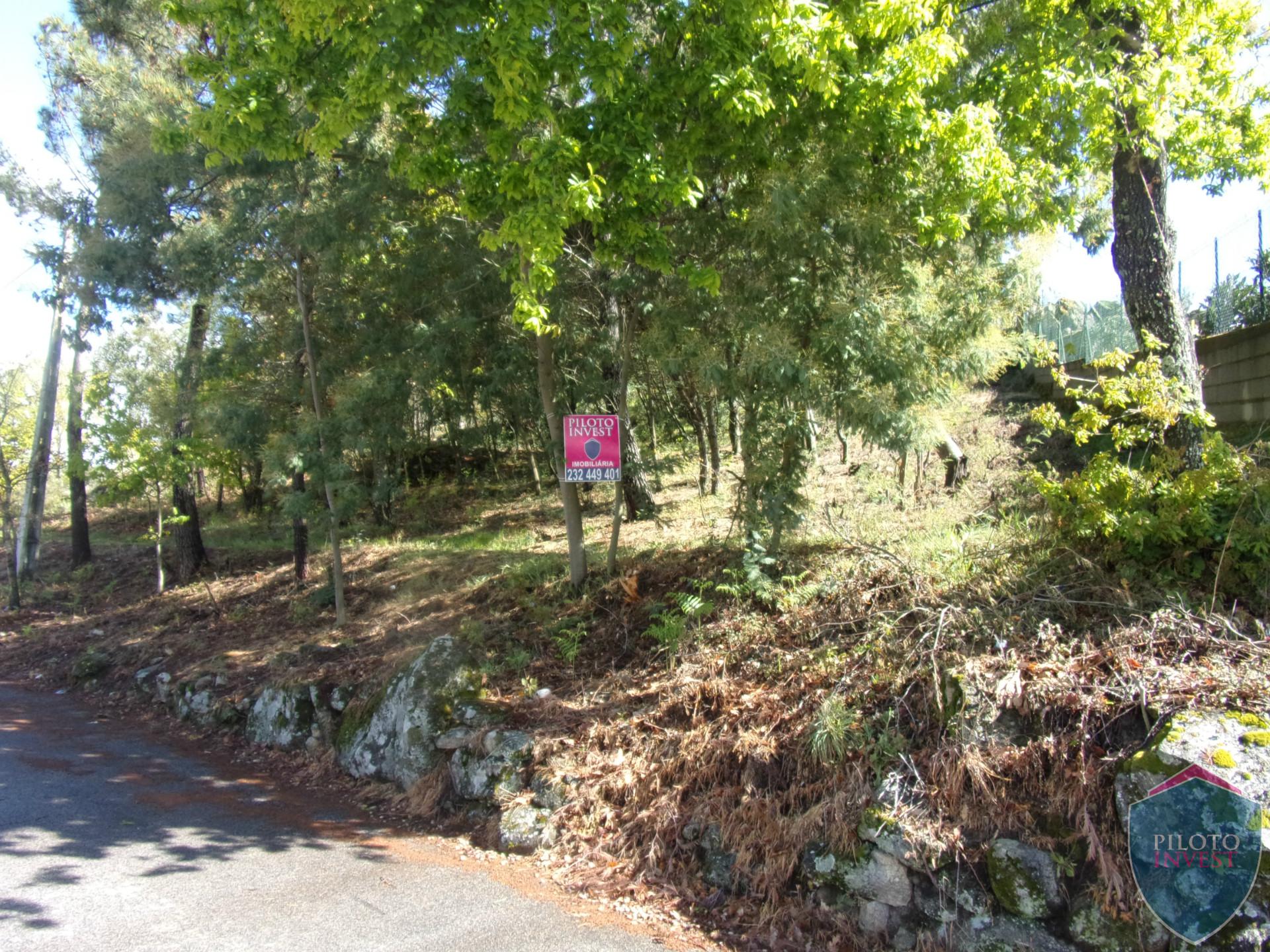 Lote de Terreno  Venda em Bodiosa,Viseu