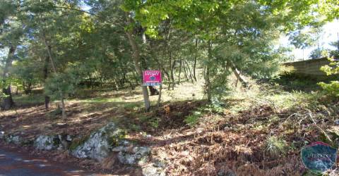 Lote de Terreno  Venda em Bodiosa,Viseu