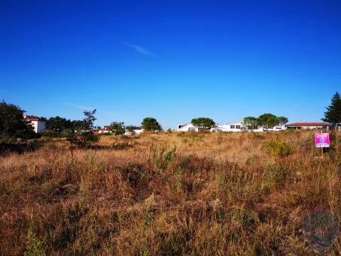 Terreno Rústico  Venda em Abraveses,Viseu