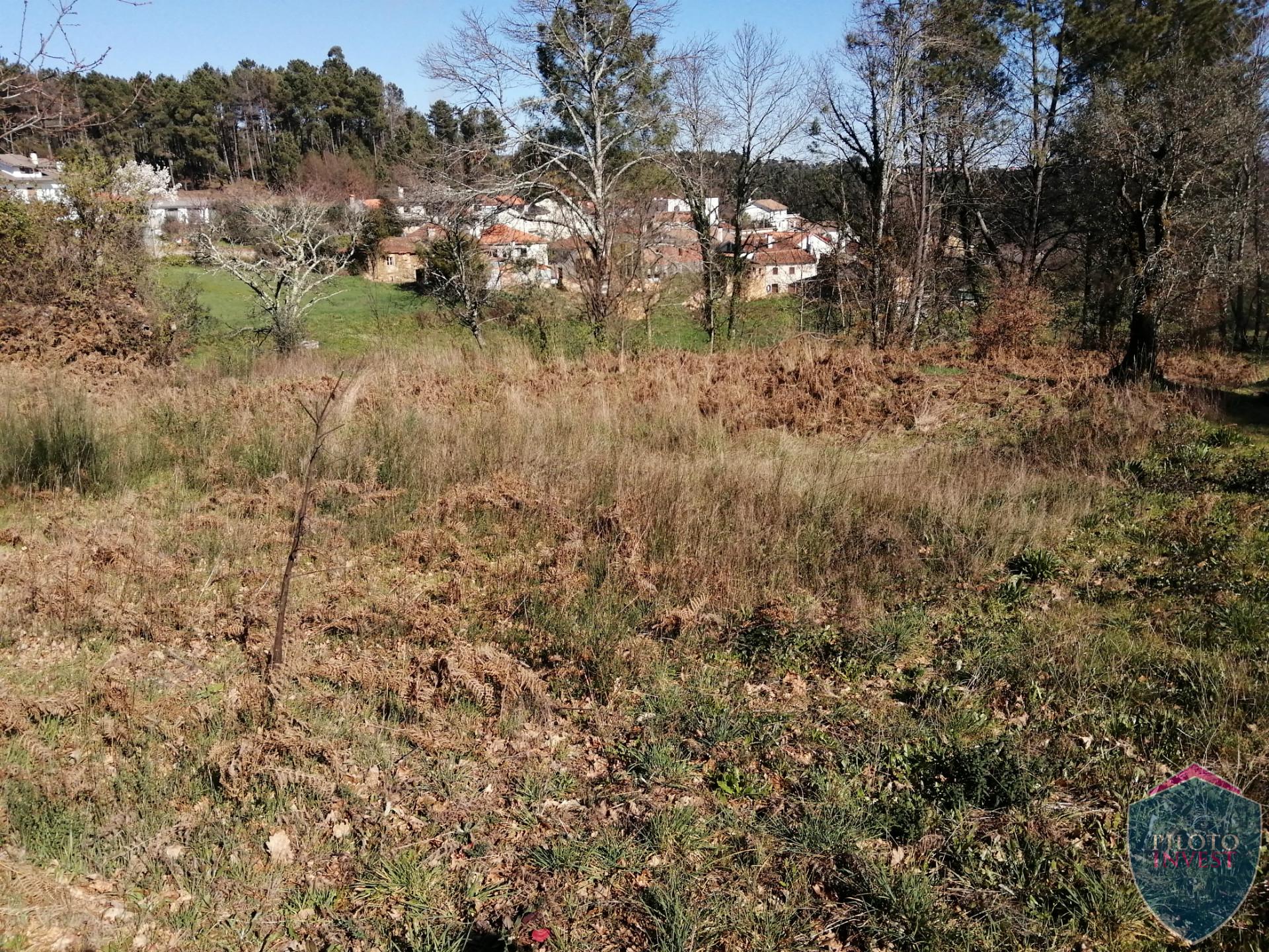 Quinta  Venda em Sátão,Sátão