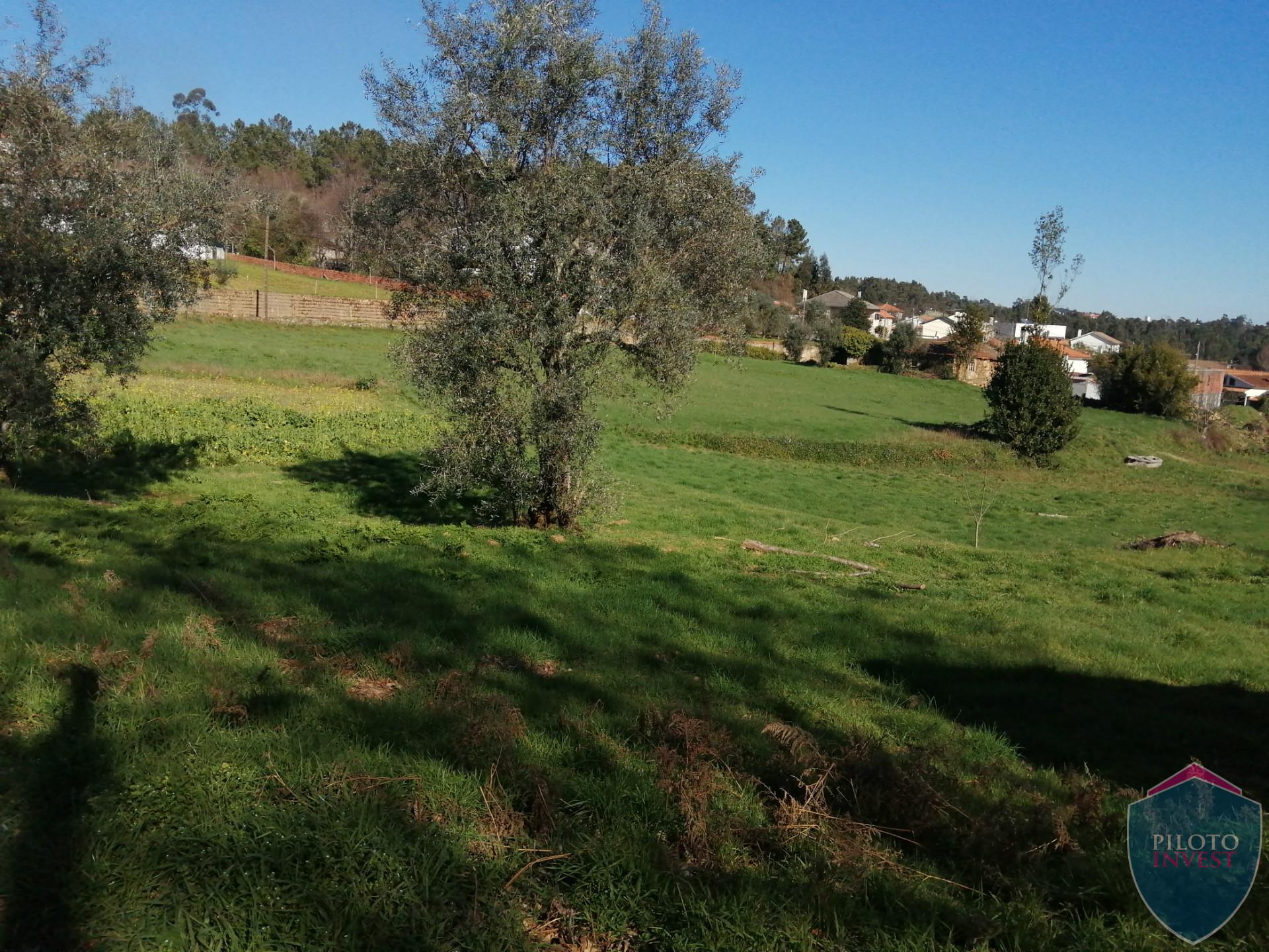 Quinta  Venda em Sátão,Sátão