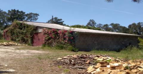 Terreno  Venda em Silgueiros,Viseu