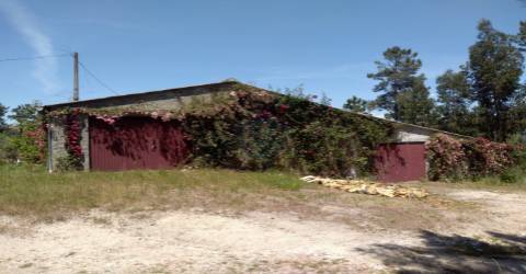 Terreno  Venda em Silgueiros,Viseu