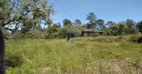 Terreno  Venda em Silgueiros,Viseu