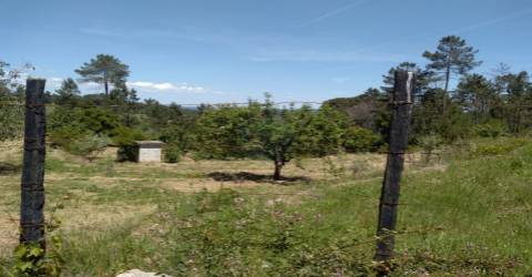 Terreno  Venda em Silgueiros,Viseu