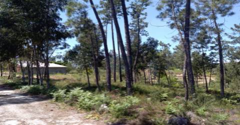 Terreno  Venda em Silgueiros,Viseu