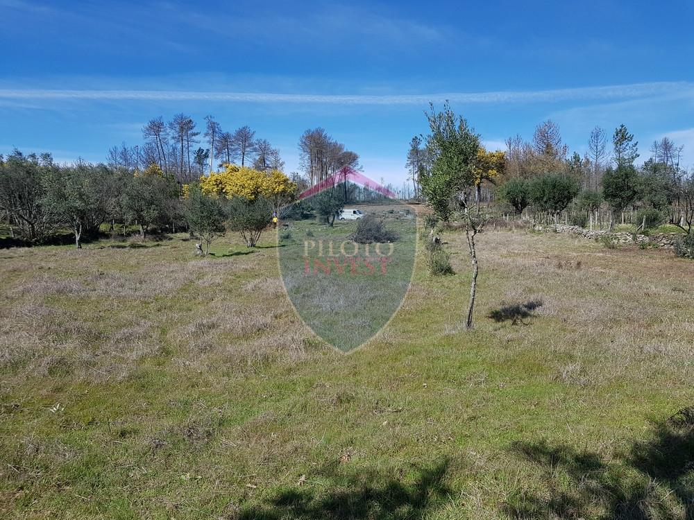 Terreno  Venda em Espinho,Mangualde