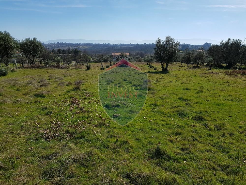 Terreno  Venda em Espinho,Mangualde