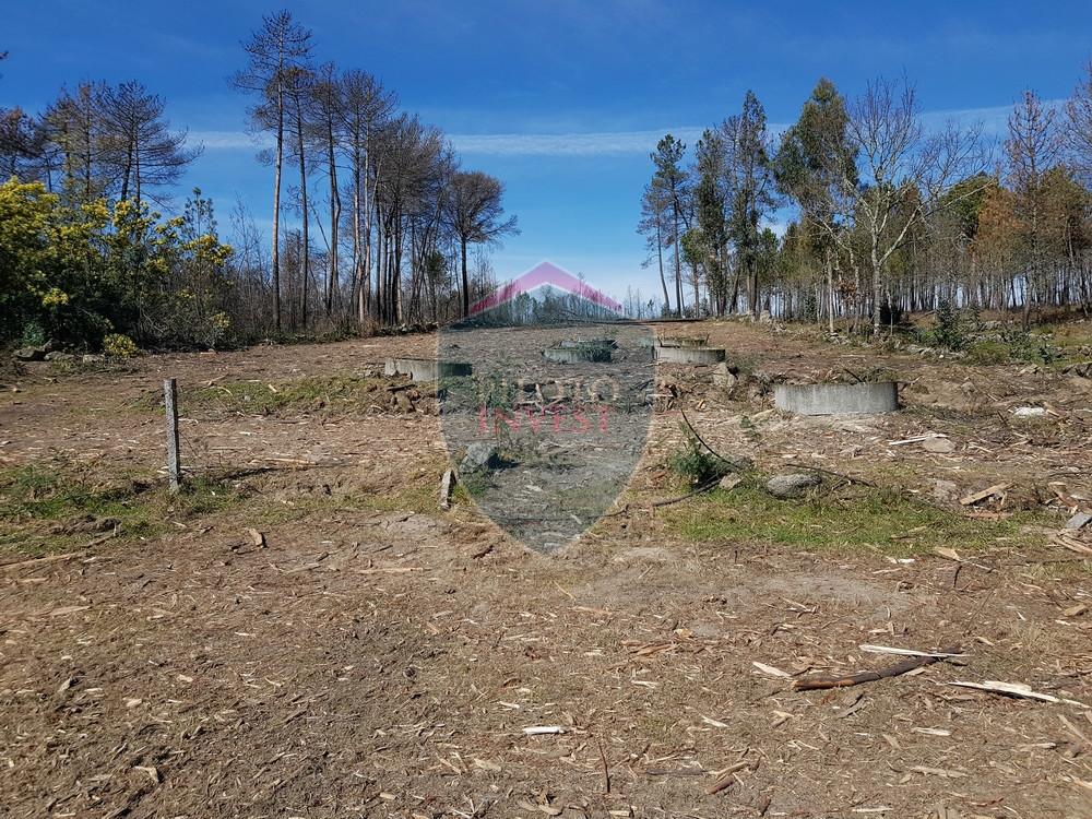 Terreno  Venda em Espinho,Mangualde