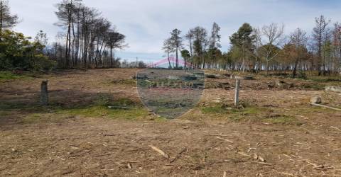 Terreno  Venda em Espinho,Mangualde