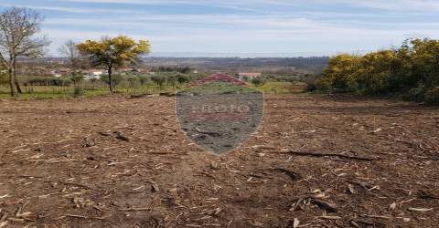 Terreno  Venda em Espinho,Mangualde