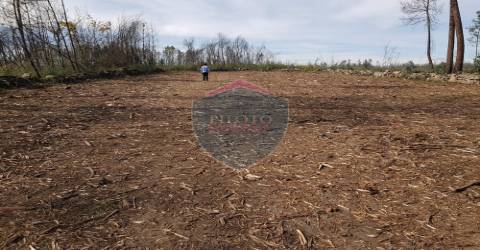 Terreno  Venda em Espinho,Mangualde