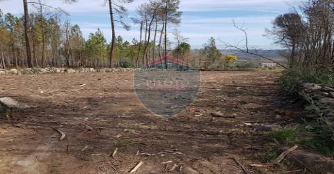 Terreno  Venda em Espinho,Mangualde